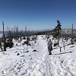 Landurlaub Bei Familie Haug