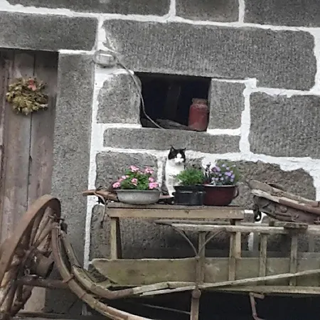 Landurlaub Bei Familie Haug Apartman