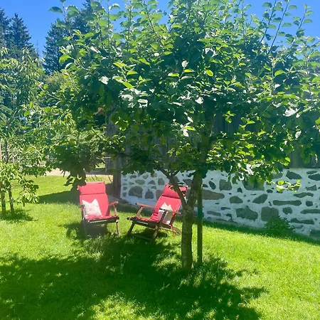 Landurlaub Bei Familie Haug