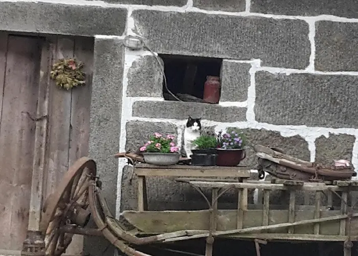 Landurlaub Bei Familie Haug شقة