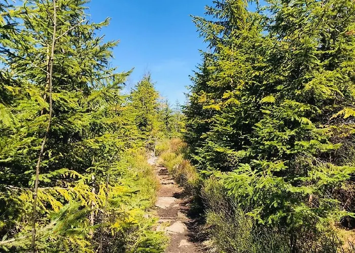 Landurlaub Bei Familie Haug * فرايونغ