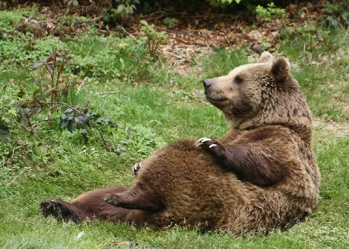 아파트 Landurlaub Bei Familie Haug
